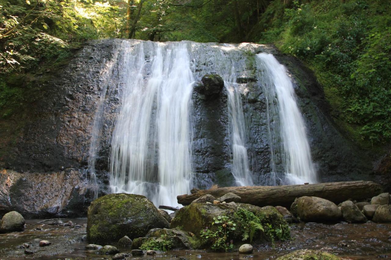 Camping Les Vernieres La Bourboule Sancy Dış mekan fotoğraf