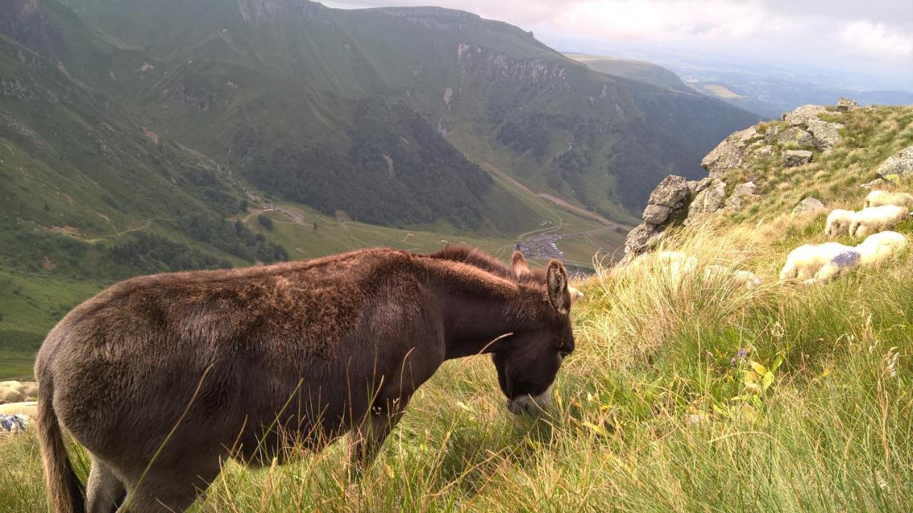 Camping Les Vernieres La Bourboule Sancy Dış mekan fotoğraf