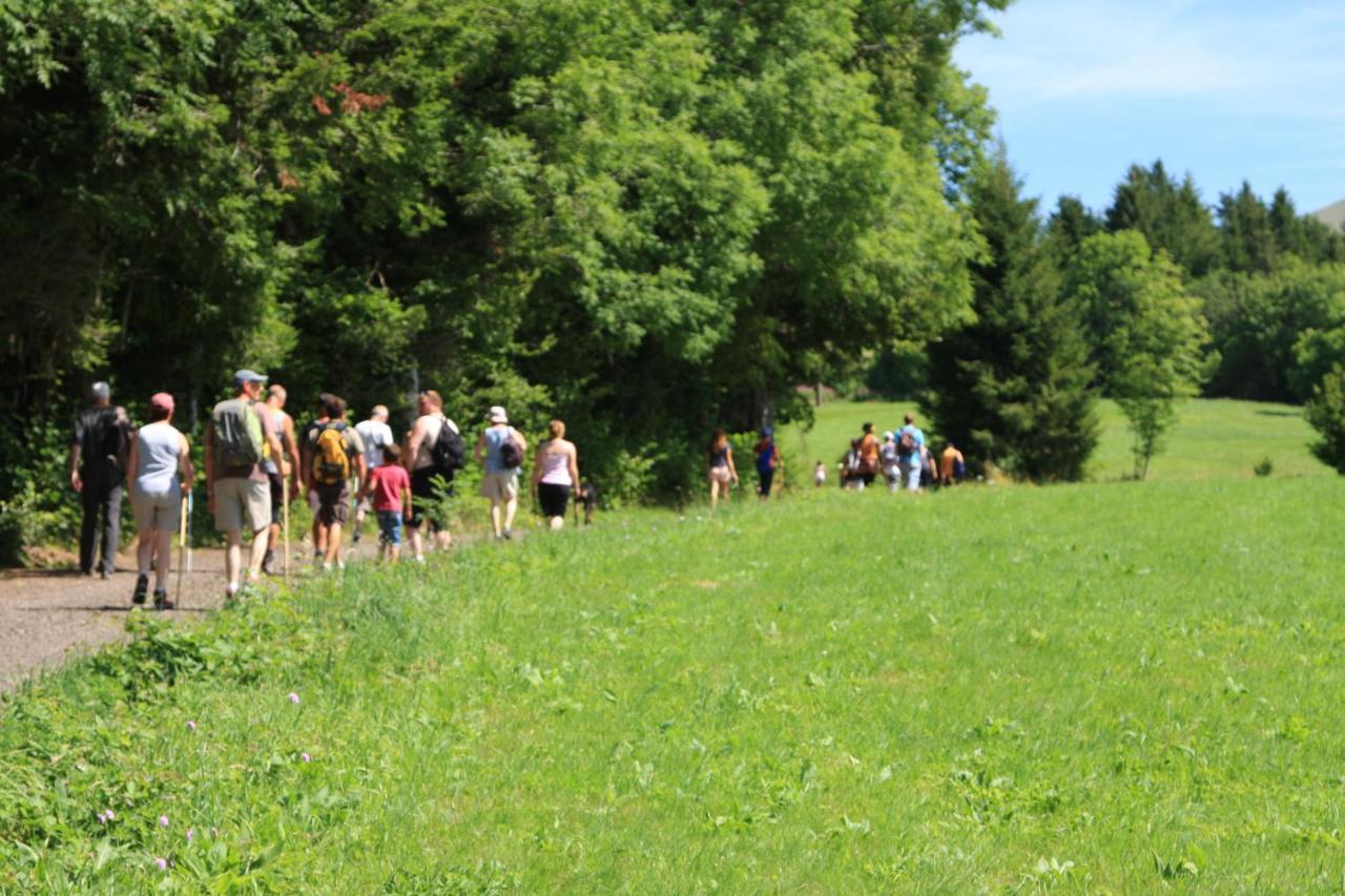 Camping Les Vernieres La Bourboule Sancy Dış mekan fotoğraf